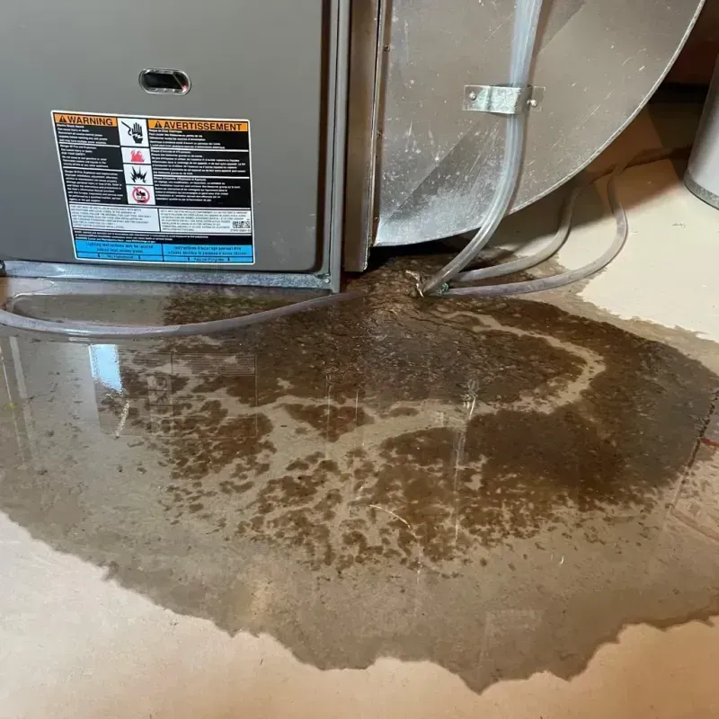 Appliance Leak Cleanup in Red Lake Falls, MN